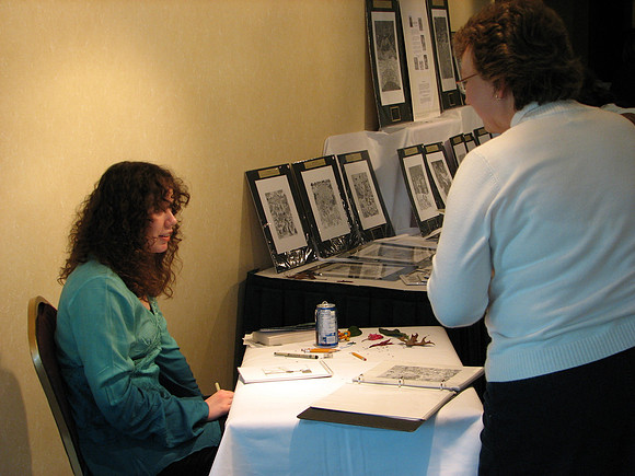 2006